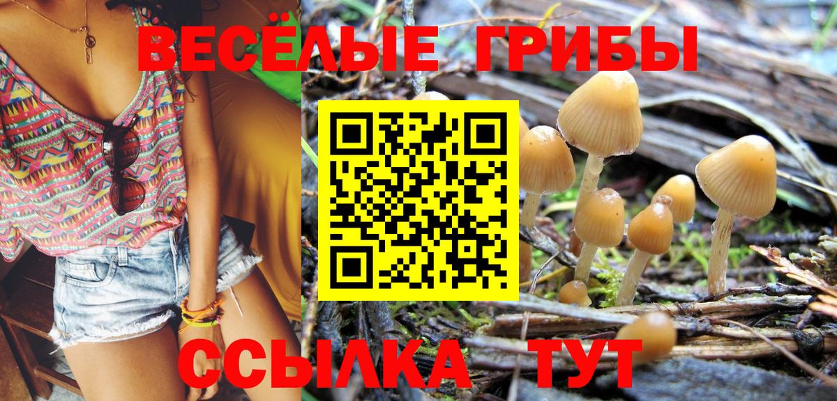 Псилоцибиновые грибы Cubensis  купить  цена  Галлюциногенные грибы прущие грибы  Соль-Илецк  Вход с VPN 