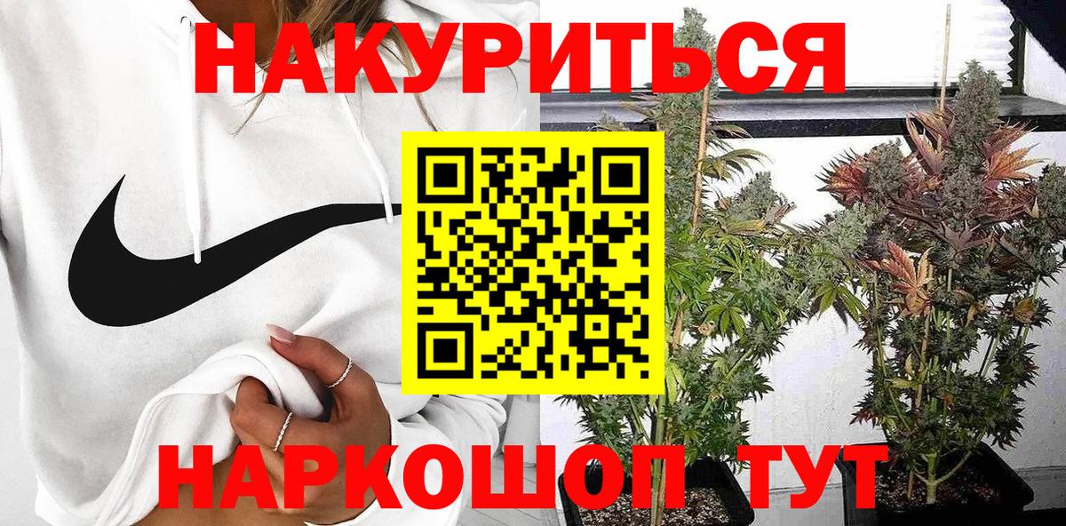 Бошки марихуана тримм  Вход с VPN  Соль-Илецк  Бошки марихуана планчик  Конопля AK-47 
